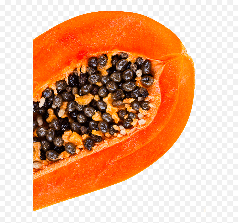 Download Papaya - Full Size Png Image Pngkit,Papaya Png