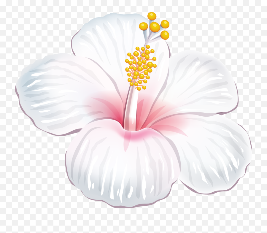 Pin De Luluk Purwantono Em Gambar Bunga Imagem Floral - Moana Flores Hawaianas Png,Tropical Flowers Png