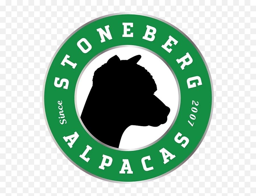 Home Stoneberg Alpacas Llc Since 2007 - Language Png,Alpaca Png
