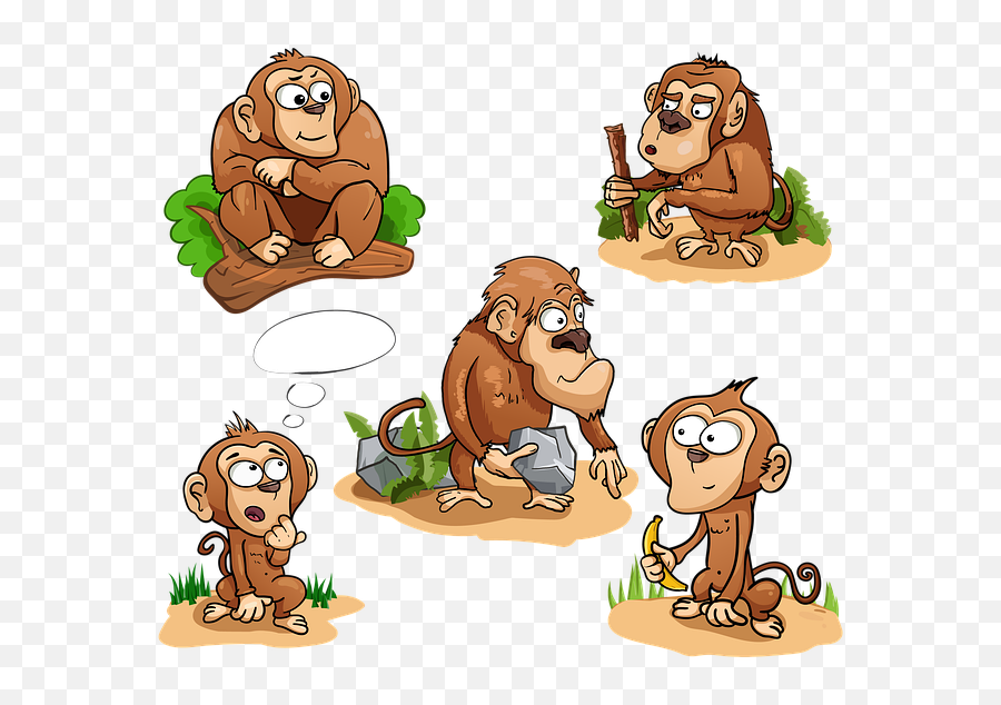 Free Photo Stick Toque Chimpanzee Banana Monkey Stone - Max Old Monkey Cartoon Png,Chimpanzee Png