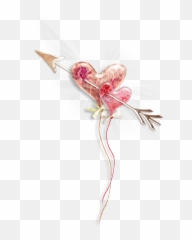 Download Pink Heart Photography Drawing Free Png Hq - Bow