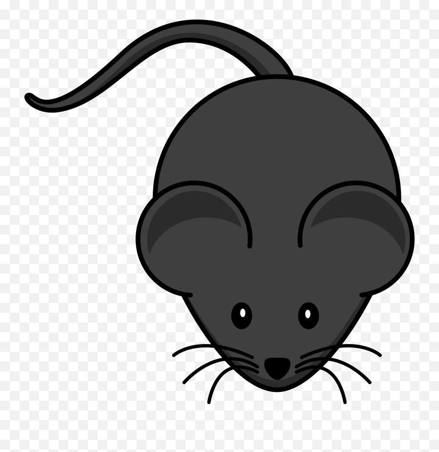 Mouse Rodent Rat - Transparent Background Rat Clipart Png,Rodent Png