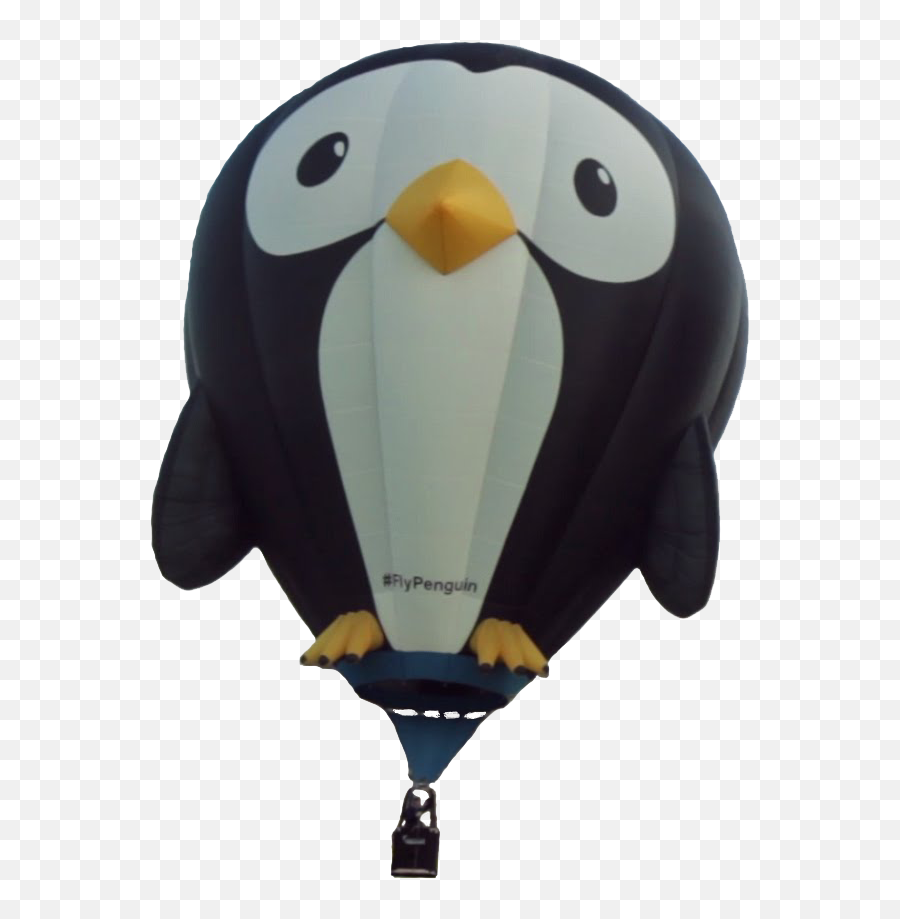 The 38th Annual New Jersey Festival Of Ballooning Penguins - Penguin Hot Air Balloon Png,Hot Air Balloon Transparent