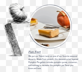 Pumpkin Pie - Gourd png