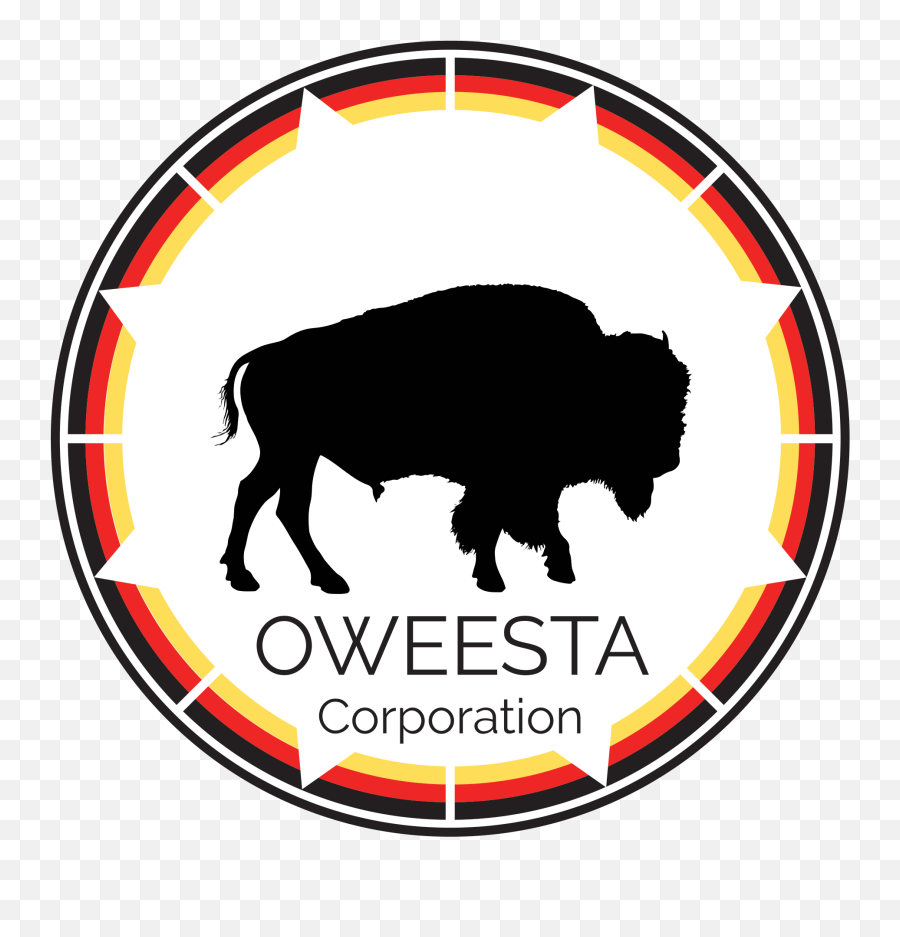 Oweesta Receives Million Grant From - Buffalo Charge The Storm Png,Wells Fargo Logo Png