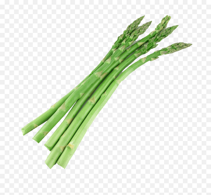 Asparagus Png Image - Purepng Free Transparent Cc0 Png Transparent Asparagus Png,Vegetable Garden Png