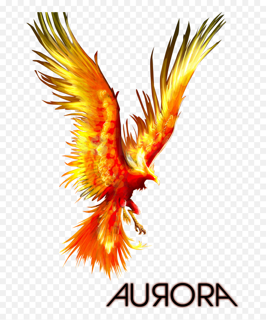 Phoenix Bird Transparent Png Image - Phoenix Firebird,Phoenix Bird Png