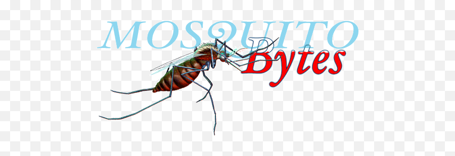 5 Death To Mosquitoes - Mosquito Png,Mosquito Transparent