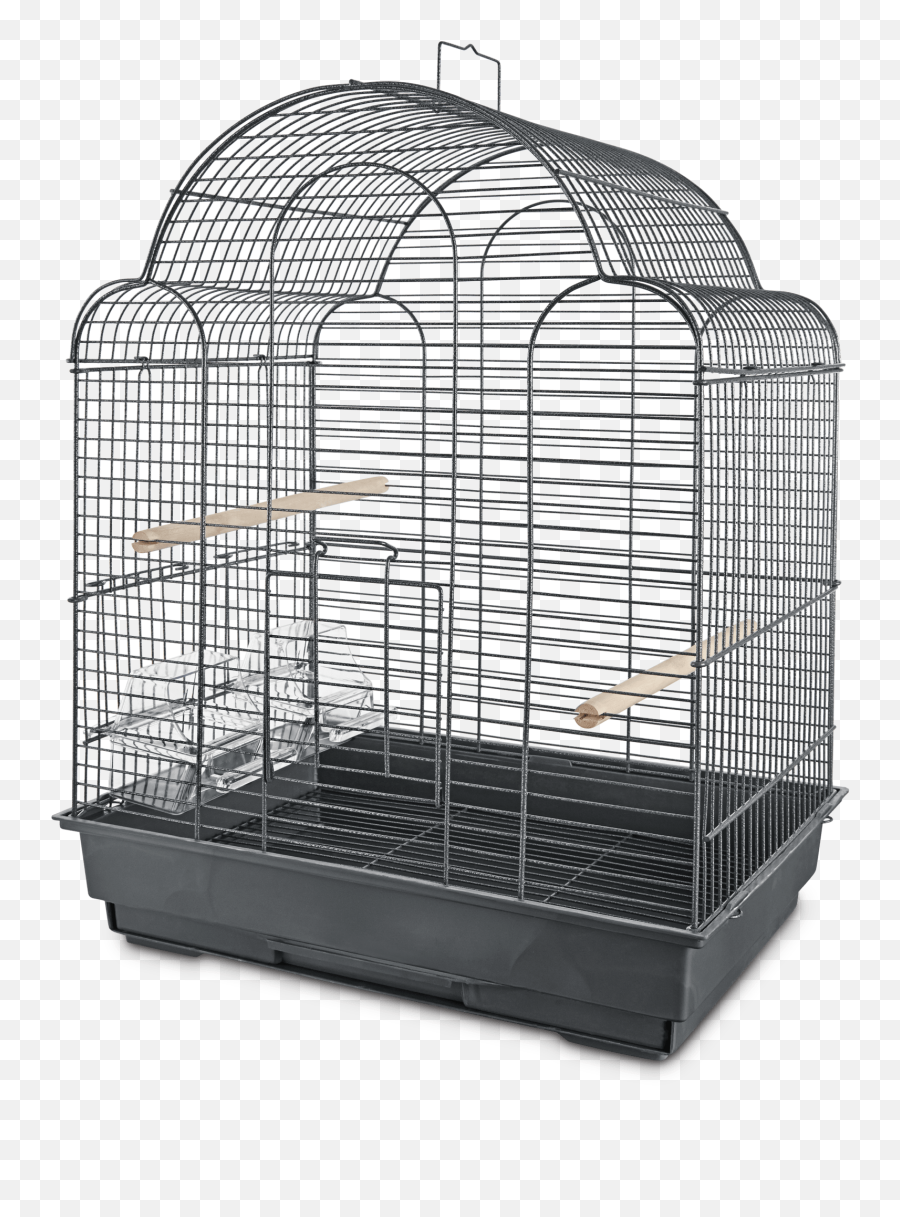 Parakeet Petco - You And Me Parakeet Scallop Top Cage Png,Forest Service Avian Icon