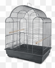 Parakeet Petco - You And Me Scallop Top Cage png