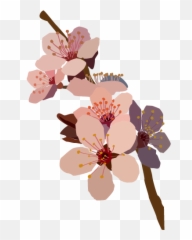 Download Murialflowers - Flowers Png Tumblr Draw Full Size Drawn Transparents