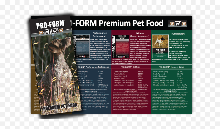 Pro - Form Pet Brochure 1221 Web Dog Png,Brochure Icon Png