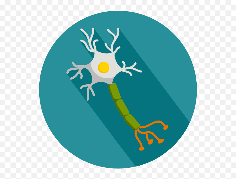 Curriculum - Neuron Circle Icon Png,Neurons Icon