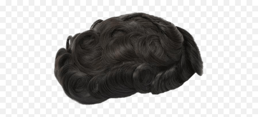 Download Free Png Curly Hair Toupee - Male Curly Hair Png,Curly Hair Png