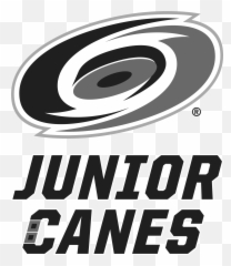 Sense Arena - Professional Hockey Training Virtual Reality Dot png