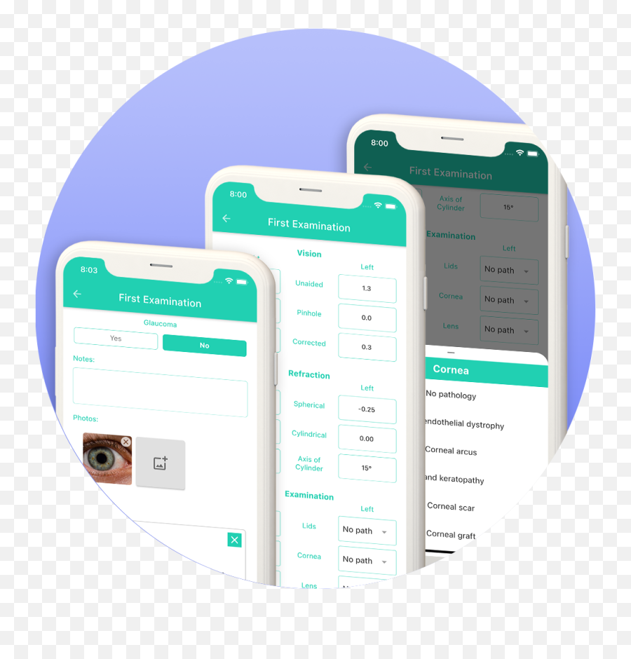 Lutra Health - Vertical Png,Adobe Xd Old Icon