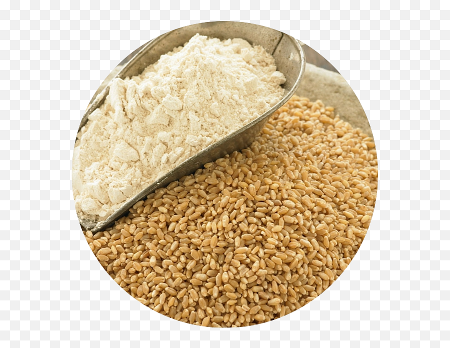 Ahmedi Grain - Wheat Flour Images Hd Download Png,Flour Png