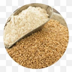 Ahmedi Grain - Wheat Flour Images Hd Download Png,Flour Png