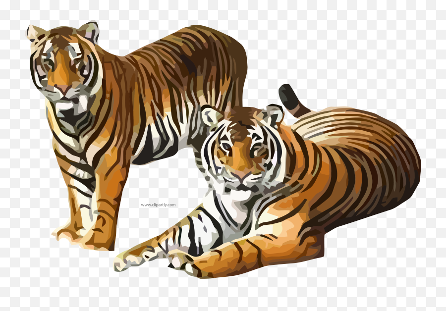 Two Tiger Waiting Clipart Png Image Tigers