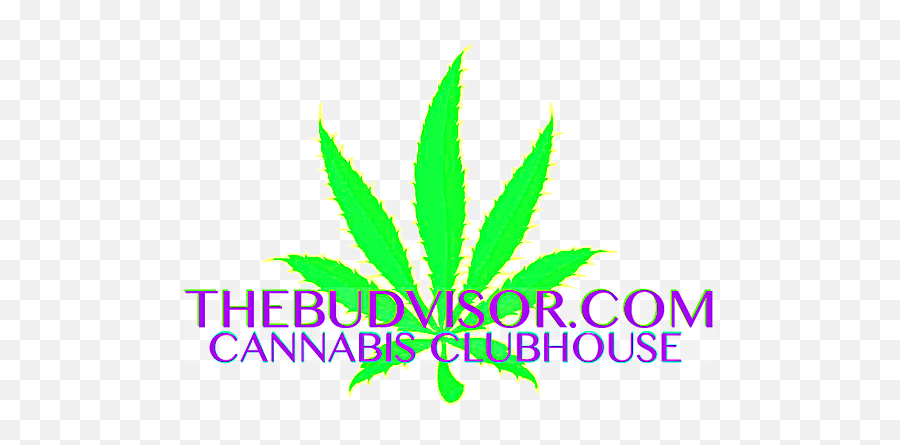Grow United States The Budvisor Presents Cannabis - Illustration Png,Weed Plant Png