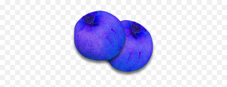Blueberry - Official Journey Of Life Wiki Blueberry Png,Blueberries Png