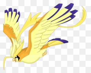 Pidgeot Png - A Partir De Pokémon Rubí Omega Y Pokémon Pokemon Mega Pidgeot Shiny,Moltres Png