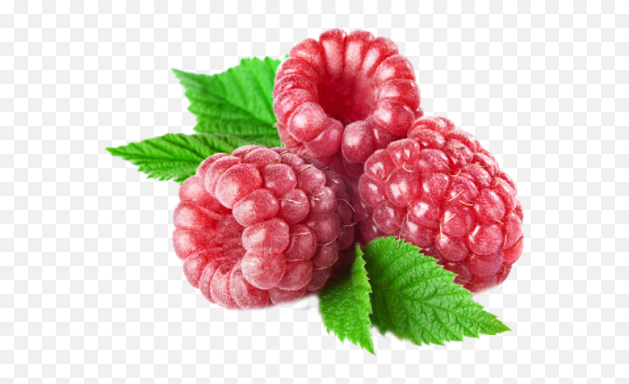 Download Raspberry Free Png Transparent - Raspberry Purplr,Raspberries Png