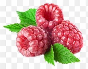 Download Raspberry Free Png Transparent - Raspberry Purplr,Raspberries Png