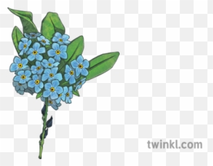Forget Me Not Bunch Illustration - Twinkl Bouquet Png,Forget Me Not Png