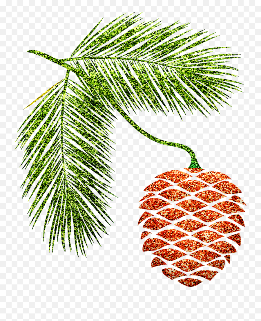 Pine Cone Branches Autumn - Free Image On Pixabay Pinheiro Desenho Com Pinha Png,Pine Cone Png