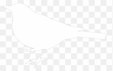White Bird - png