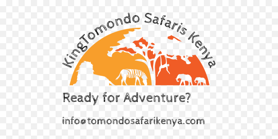 Affordable Private Safaris In Kenya - African Elephant Png,Safari Logo
