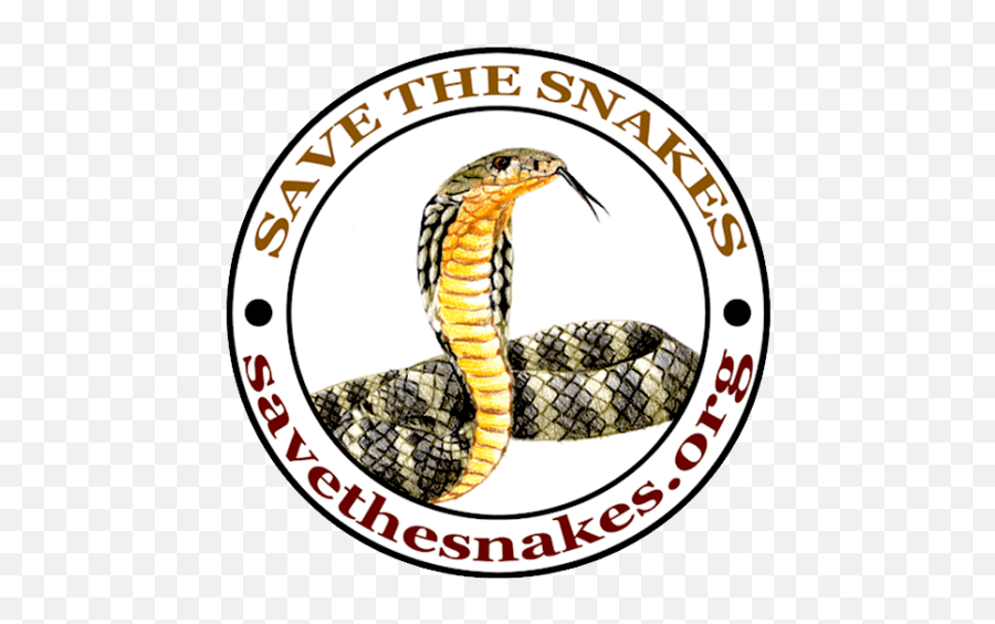 Cropped - Stsindialogobackgroundtransparentpng Save The Snake Conservation,Snake Transparent