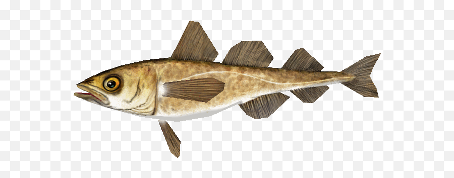 Pc Computer - Zoo Tycoon 2 Arctic Cod The Models Resource Pollack Png,Cod Png