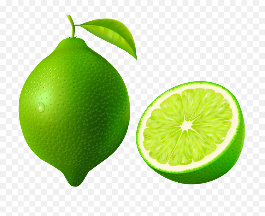 Lime Png Image For Free Download - Lime Clipart Png,Lime Transparent Background