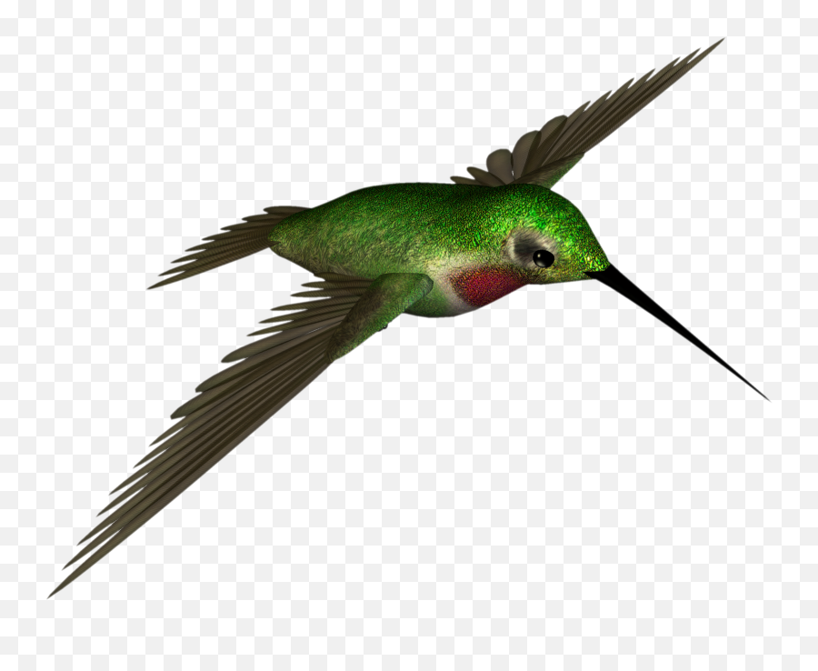 Hummingbird Clipart Colored Bird - Dr Hummingbird Png,Hummingbird Png