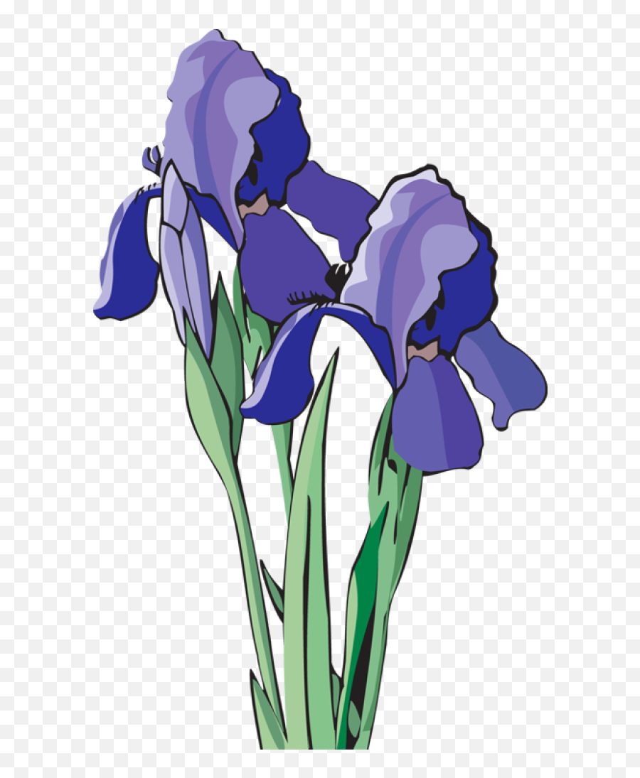 Free Iris Flower Png Download - Volunteer State Book Award,Iris Flower Png