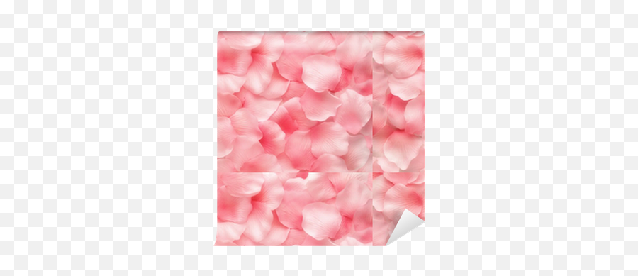 Beautiful Delicate Pink Rose Petals Wallpaper U2022 Pixers - We Live To Change Purple Petals Background Png,Pink Rose Petals Png