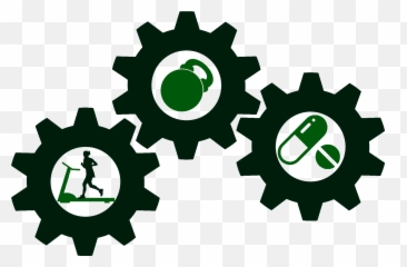 How To Choose The Best Niche Make Money Fimp - Transparent Png Download Clipart Gears