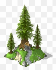 Download Giant Redwood Tree - Tropical And Subtropical Coniferous Forests Png,Redwood Tree Png