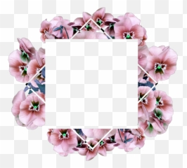 Ftestickers Flowers Frame Transparent Spring Springtime Png