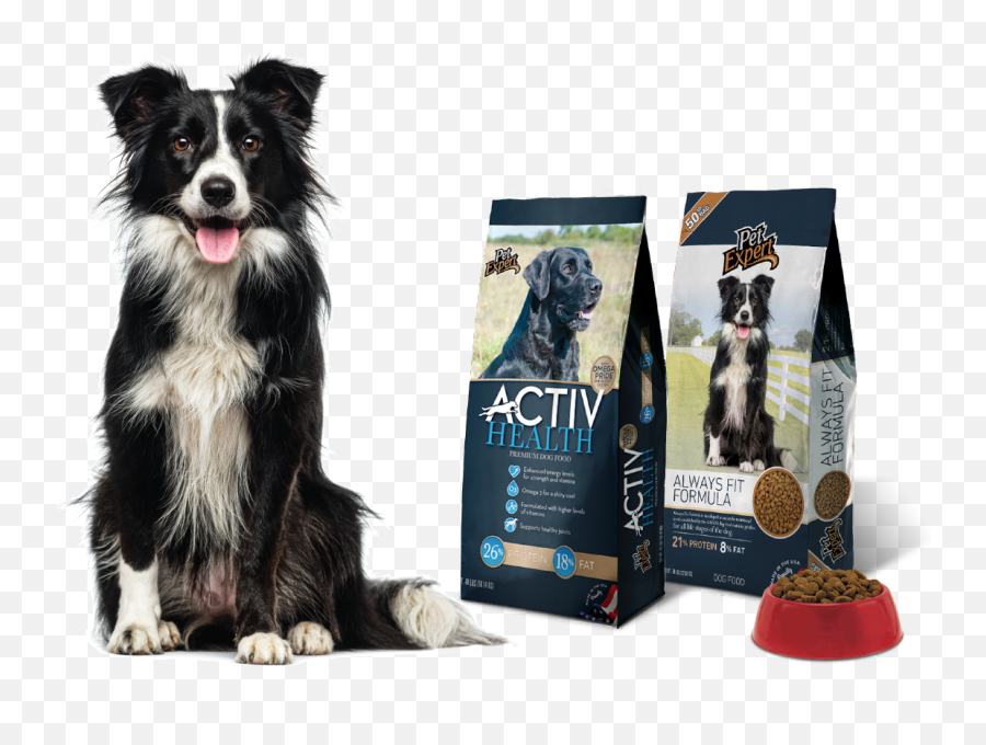 True Value Brand U2013 Joe Ninni Art Director Designer - Dog Breed Identifier App Png,Australian Shepherd Icon