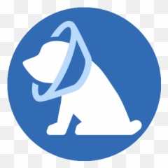 Veterinarians Gainesville Va - Stonewall Veterinary Clinic png