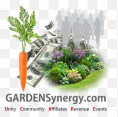 Directory Gardensynergy - Dollar Png Hd