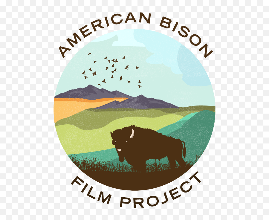 Kelly Wallis - American Bison Film Project Logo Bison Png,M Bison Png