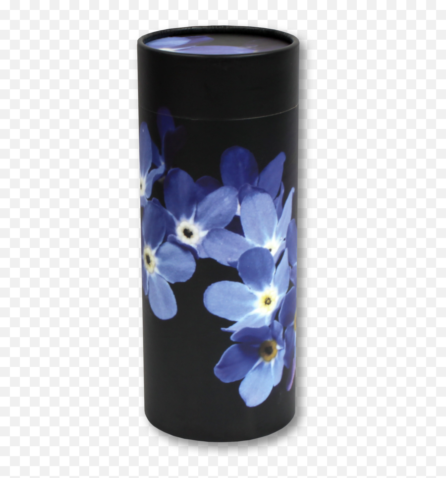 Green Merchandise U003e Forget Me Not Kolssak Funeral Home - Viola Png,Forget Me Not Png