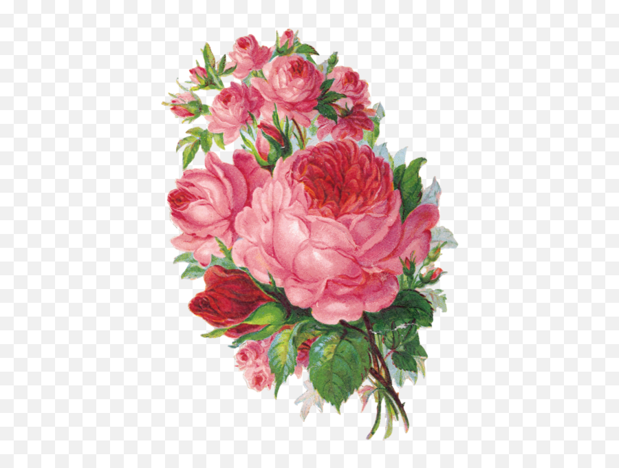 Image About Vintage In Png By Baka - Watercolor Roses Painting,Flower Overlay Png