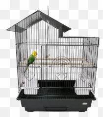 Heritage Blenheim Xlarge Budgie Bird Cage 47x36x62cm Finch Canary Birds Ebay - Budgie Cage png