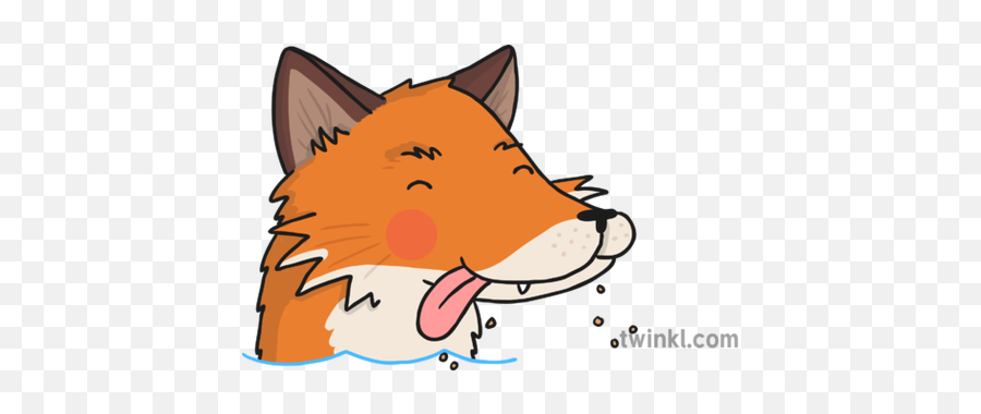 Fox Licking Its Lips Illustration - Twinkl Gingerbread Man And The Fox Png,Cartoon Lips Png