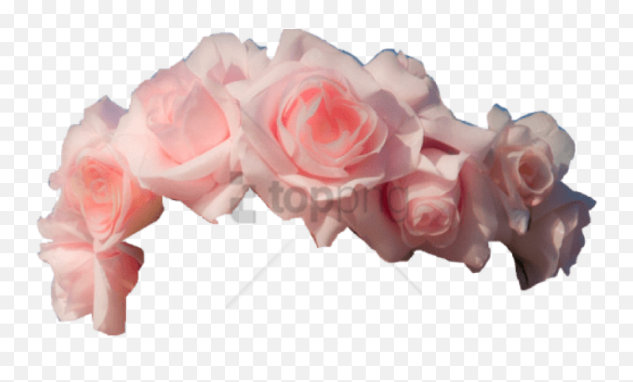 Flower Crown Png Image - Pink Flower Crown Png,Flower Crown Transparent